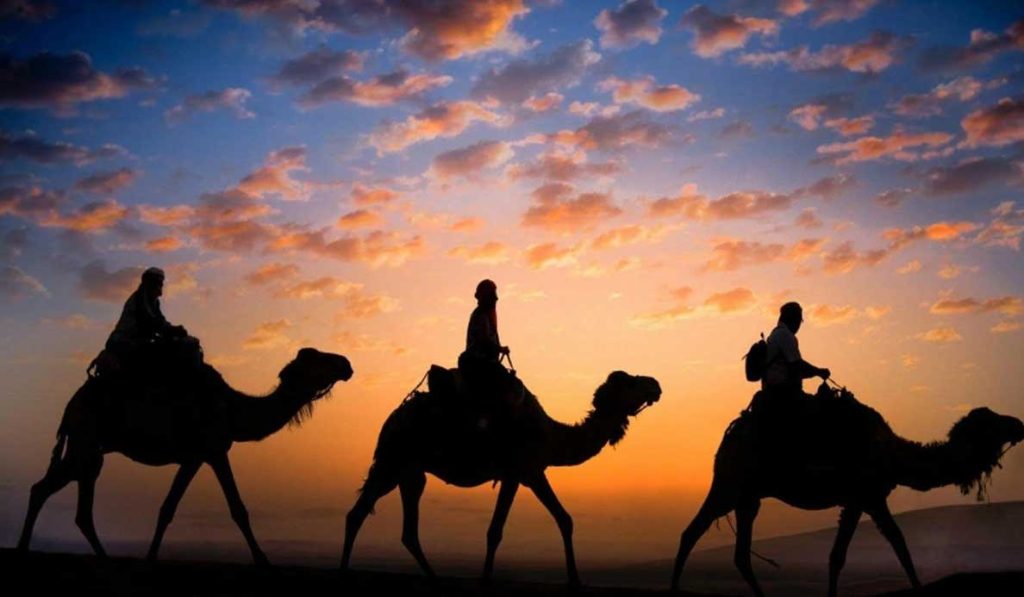 HALAAL TRAVELS Location Villa FES – MERZOUGA – LES GORGES DE DADES MARRAKECH 4