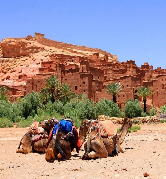 HALAAL TRAVELS Location Villa Experiences Uniques Au Marocvoyage sur mesure au Maroc HALAAL TRAVELS Location Villa marrakech tours excursions voyage sur mesure au Maroc