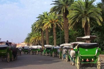 HALAAL TRAVELS Location Villa marrakech tours excursions 3