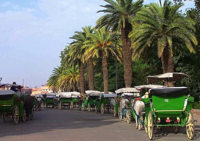 HALAAL TRAVELS Location Villa marrakech tours excursions 3