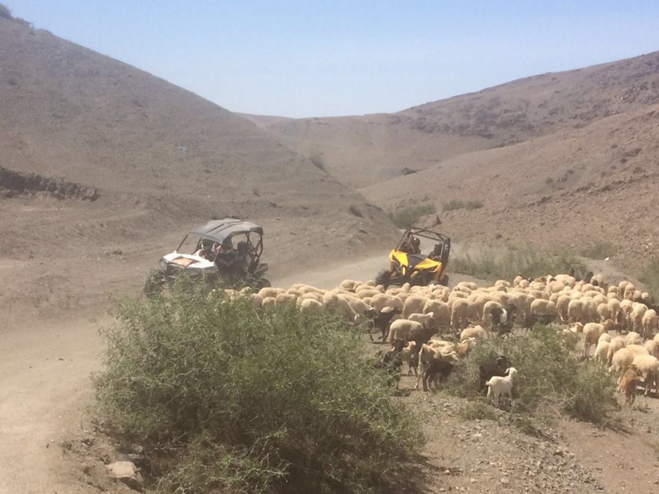 HALAAL TRAVELS Location Villa marrakech tours excursions adb55de94