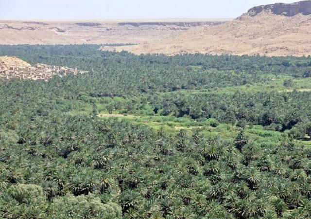 HALAAL TRAVELS Location Villa A LERG CHEGAGA DANS LE SAHARA DEPART DE OUARZAZATE 3 JOURS 5