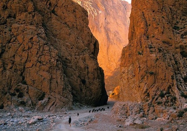 HALAAL TRAVELS Location Villa B76828ef0f0e91aeac8857af4a8318ea58d6a5a8