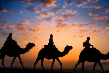 HALAAL TRAVELS Location villa avec piscine marrakech02dc3dc5a53527d2